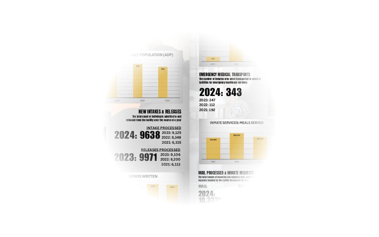 Hamblen County release and detention statistics record